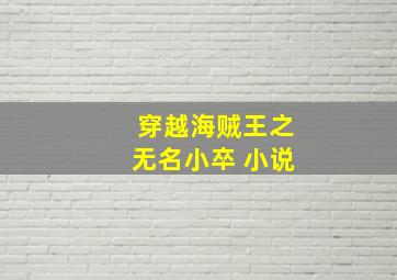 穿越海贼王之无名小卒 小说